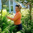 ���������� �����, ���� ������� ����, 50 ���, ������������ 