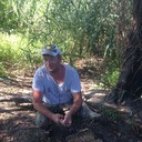 ���������� ������, ���� ������� ������, 49 ���, ������������ ��� ����� � ���������, c�������� ���������