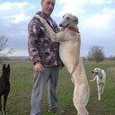 ���������� ����������, ���� ������� ������, 50 ���, ������������ ��� ������, ����� � ���������