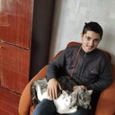 ,   , 26 ,   ,   , c 