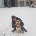 ,   , 29 ,     , c 