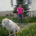 ���������� ���������, ���� ������� ����, 44 ����, ������������ ��� ������