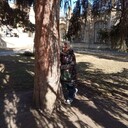  ,   , 58 ,   