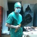 ���������� ��������, ���� ������� �����, 43 ����, ������������ 