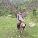  ,   , 44 ,   ,   , c , 