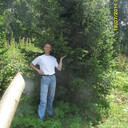 ���������� �����������, ���� ������� ������, 41 ���, ������������ ��� ������, ����� � ���������, c�������� ���������