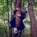 ���������� ������, ���� ������� ������, 30 ���, ������������ ��� ������, ����� � ���������, c�������� ���������, ���������