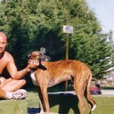 ���������� ������, ���� ������� �������, 49 ���, ������������ ��� ����� � ���������, c�������� ���������