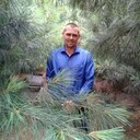 ���������� ���������, ���� ������� ������, 41 ���, ������������ ��� ������, ����� � ���������, c�������� ���������