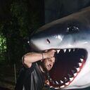 ���������� ������, ���� ������� ����, 44 ����, ������������ ��� ������, ����� � ���������, c�������� ���������