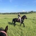 ���������� �����������, ���� ������� ������, 31 ���, ������������ ��� ������, ����� � ���������, ���������