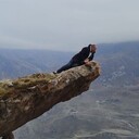  -,   , 38 ,   ,   , c 