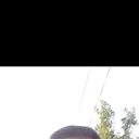 ���������� ������, ���� ������� �������, 52 ����, ������������ ��� ������, ����� � ���������, c�������� ���������