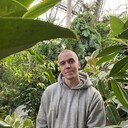 ���������� ����, ���� ������� �������, 29 ���, ������������ ��� ������, ����� � ���������, c�������� ���������