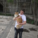  ,   , 34 ,   ,   , c 