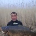  -,   , 33 ,   ,   , c 