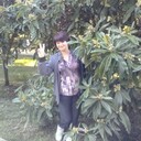 ���������� ������-��-����, ���� ������� �������, 63 ����, ������������ ��� c�������� ���������