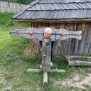  ,   , 51 ,  