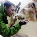 ���������� ������ ���, ���� ������� Maks, 31 ���, ������������ ��� ������