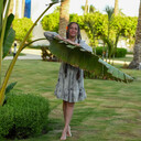 ���������� ����������, ���� ������� �����, 43 ����, ������������ 