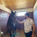 ���������� ������, ���� ������� Deni, 38 ���, ������������ ��� ������, ����� � ���������