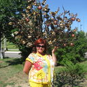  ,   , 54 ,  