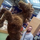  ,   , 41 ,   ,   , c , 