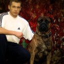 ���������� �������, ���� ������� ������, 38 ���, ������������ ��� ������, ����� � ���������, c�������� ���������