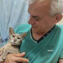 ���������� �����-���������, ���� ������� Volodya, 48 ���, ������������ ��� ������, ����� � ���������