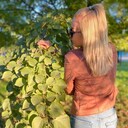 ���������� ����, ���� ������� ��� ��, 37 ���, ������������ ��� ���������