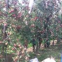  ,   , 40 ,   ,   , c 