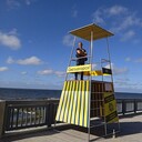 ���������� �����������, ���� ������� ����������, 46 ���, ������������ ��� ������, ����� � ���������