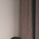  --,   , 42 ,     , c 