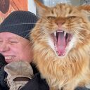 ���������� ��������������, ���� ������� �������, 36 ���, ������������ ��� ������, ����� � ���������