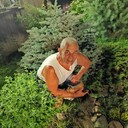 ���������� �������, ���� ������� ���������, 61 ���, ������������ ��� c�������� ���������