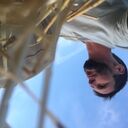 ���������� ������, ���� ������� �����, 38 ���, ������������ ��� ������, ����� � ���������, c�������� ���������, ���������