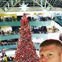  Half Way Tree,   Jeffery full, 52 ,   ,   , c 