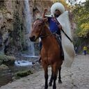 ���������� �����-���������, ���� ������� �����, 40 ���, ������������ ��� ������, ����� � ���������