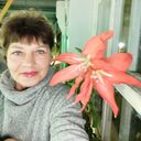  ,   , 57 ,   c 
