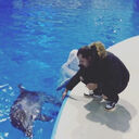 ���������� ����, ���� ������� �������, 31 ���, ������������ ��� ������, ����� � ���������, c�������� ���������