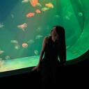 ���������� ���������, ���� ������� �����, 24 ����, ������������ ��� ������, ����� � ���������