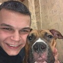 ���������� ���������, ���� ����� �����, 22 ����, ������������ ��� ������, ����� � ���������