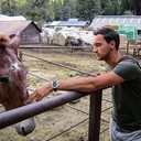 ���������� ������, ���� ������� �������, 39 ���, ������������ ��� ����� � ���������, c�������� ���������