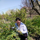  ,   , 50 ,   ,   , c 