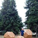  ,   , 41 ,   ,   , c 