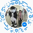  ,   , 56 ,   ,   , c 