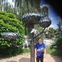  ,   , 38 ,   ,   , c , 