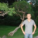 ���������� �������, ���� ������� �����, 38 ���, ������������ ��� ������, ����� � ���������, c�������� ���������