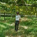 ���������� �������, ���� ������� Husein, 38 ���, ������������ ��� ������, ����� � ���������, c�������� ���������