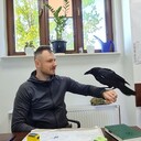 ���������� ������, ���� ������� ������, 45 ���, ������������ ��� ������, ����� � ���������, c�������� ���������